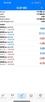 CHINESE EA MARTINGALE MT41.webp