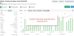 Javier Trading Scalper Gold MT4 (Código Fuente MQ4).webp
